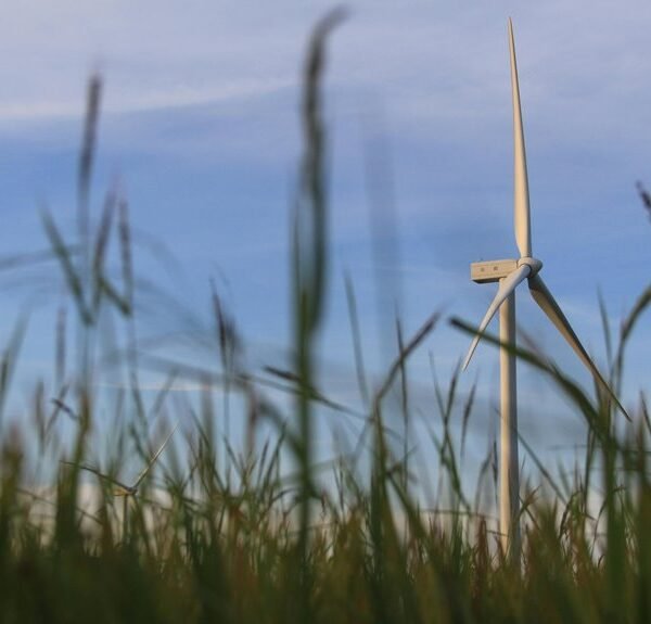 innovative it services provider