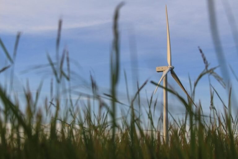 innovative it services provider